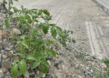 Фото из группы "Мой Таганрог".